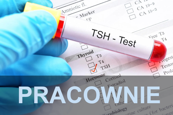 pracownie